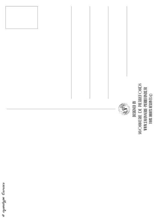 Postcard "Sky of Picardy"