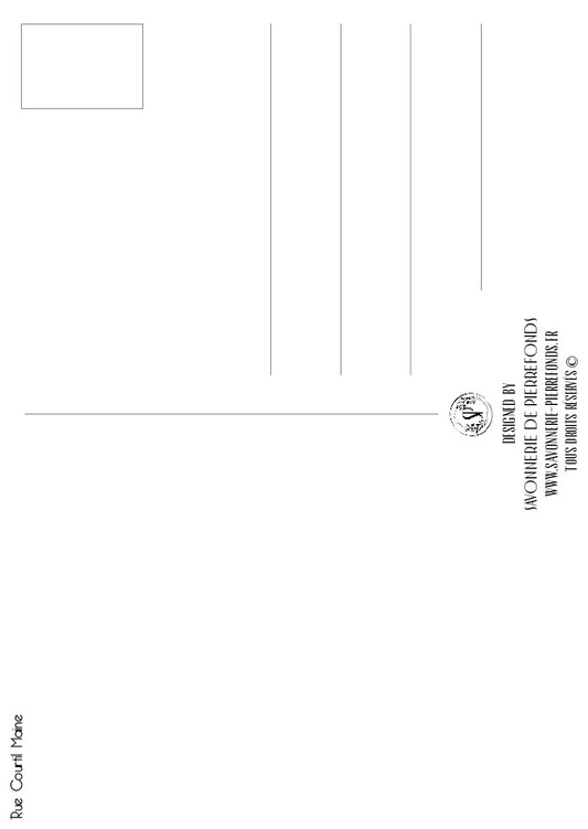 Carte postale "Rue Courtil Maine à Pierrefonds"